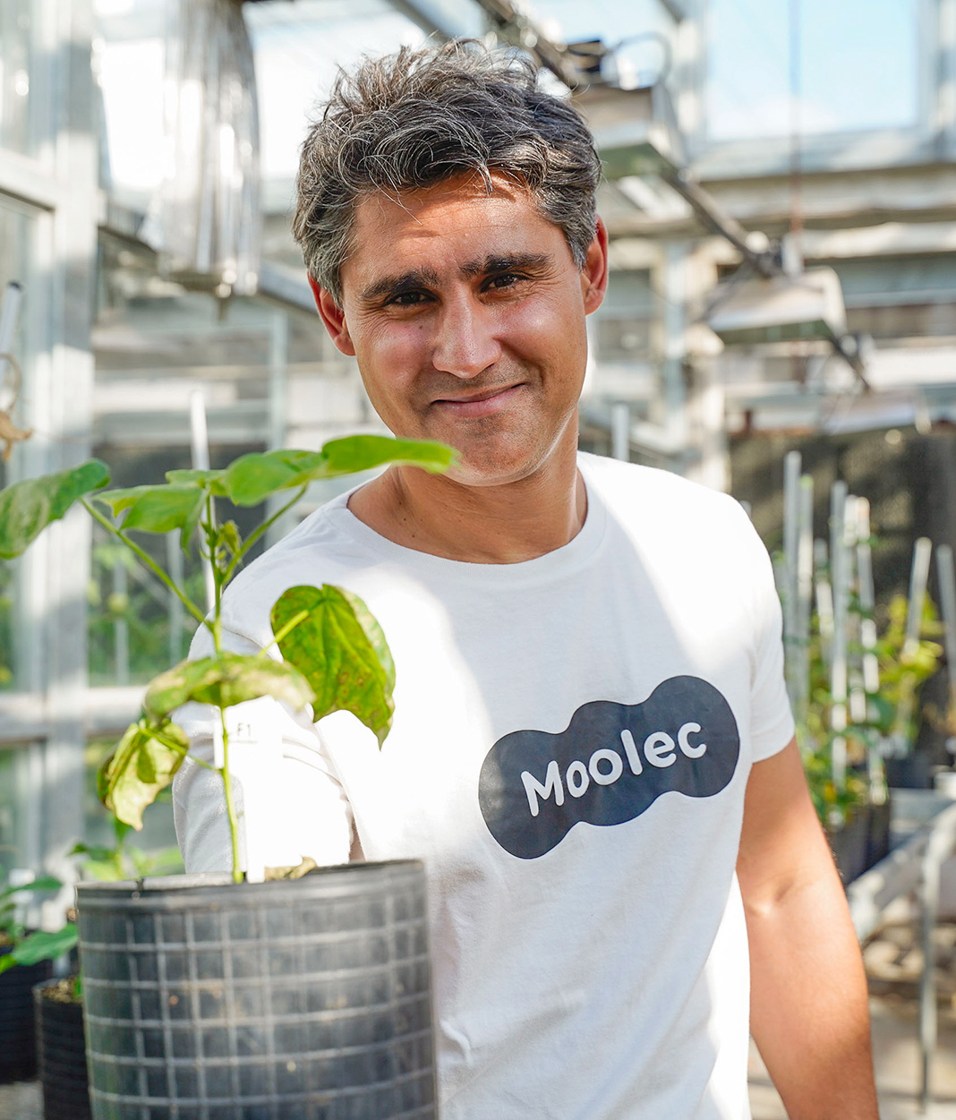 Moolec, Science in alternative proteins